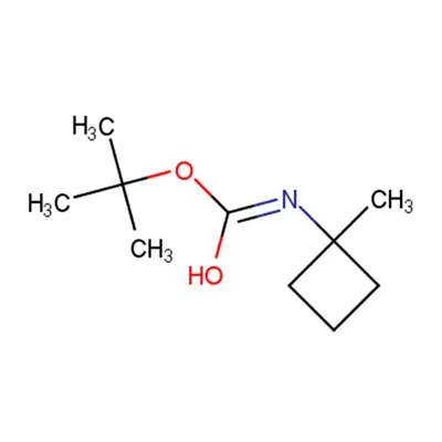 2-(tert-Butylamino)ethylmethacrylaat C10H19NO2